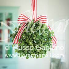 vischio